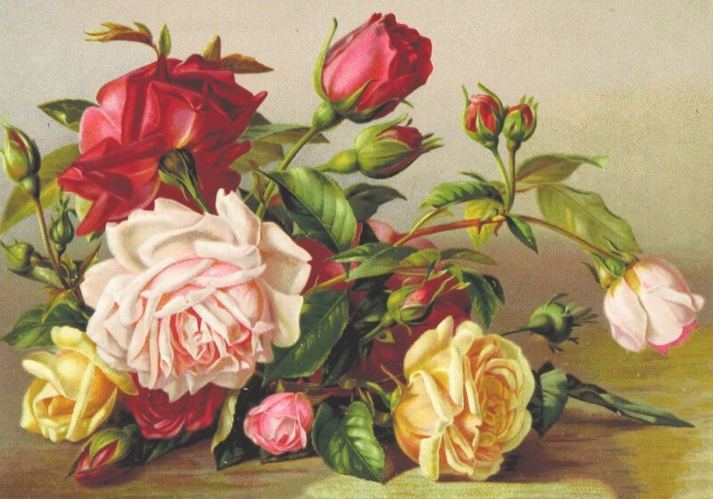 Hướng dẫn cách vẽ một bó hoa hồng đẹp lung linh và chuyên nghiệp