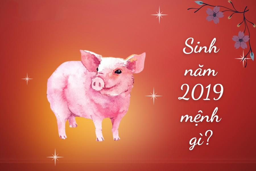 Năm Quý Hợi 2019 có phù hợp để kết hôn hay không?