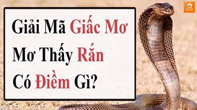 Điềm nằm mơ thấy rắn hổ mang chính xác & Đánh số gì trúng?