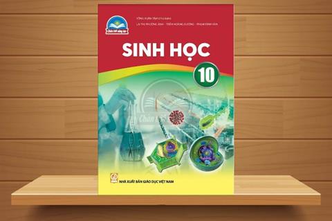 [Ebook] TẢI Sách Sinh Học 10 Chân Trời Sáng Tạo PDF, Đọc Online (FULL)