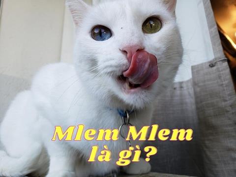 Mlem mlem là gì trên Facebook? Mà giới trẻ nào cũng biết và hay sử dụng