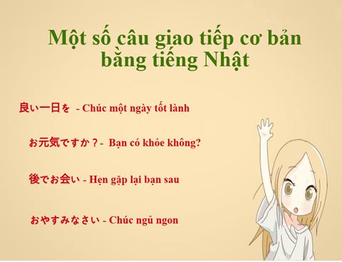 Những mẫu câu xin chào tiếng Nhật cơ bản & thông dụng