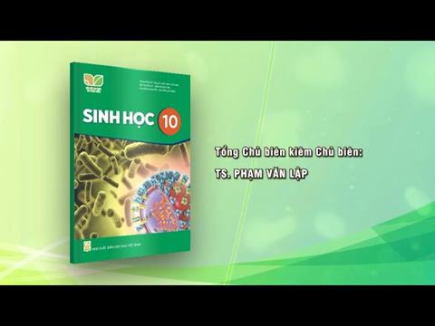 [Ebook] TẢI Sách Sinh Học 10 - Kết Nối Tri Thức Với Cuộc Sống PDF