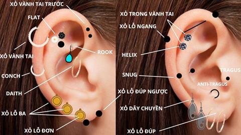 5 vị trí xỏ khuyên tai đẹp cho nam, nữ phổ biến, thông dụng