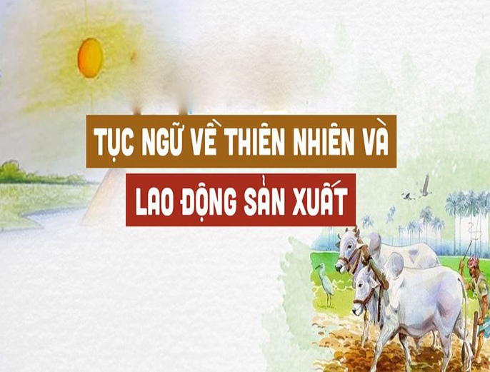 Tổng hợp tục ngữ về lao đông sản xuất truyền thống của Việt Nam