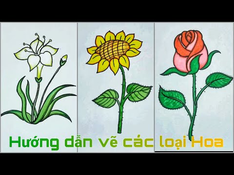 Cách Vẽ Bông Hoa Đơn Giản Mà Siêu Đẹp 2023
