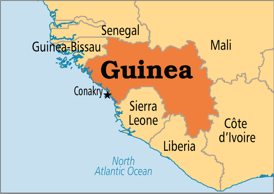 20105452 Guinea 