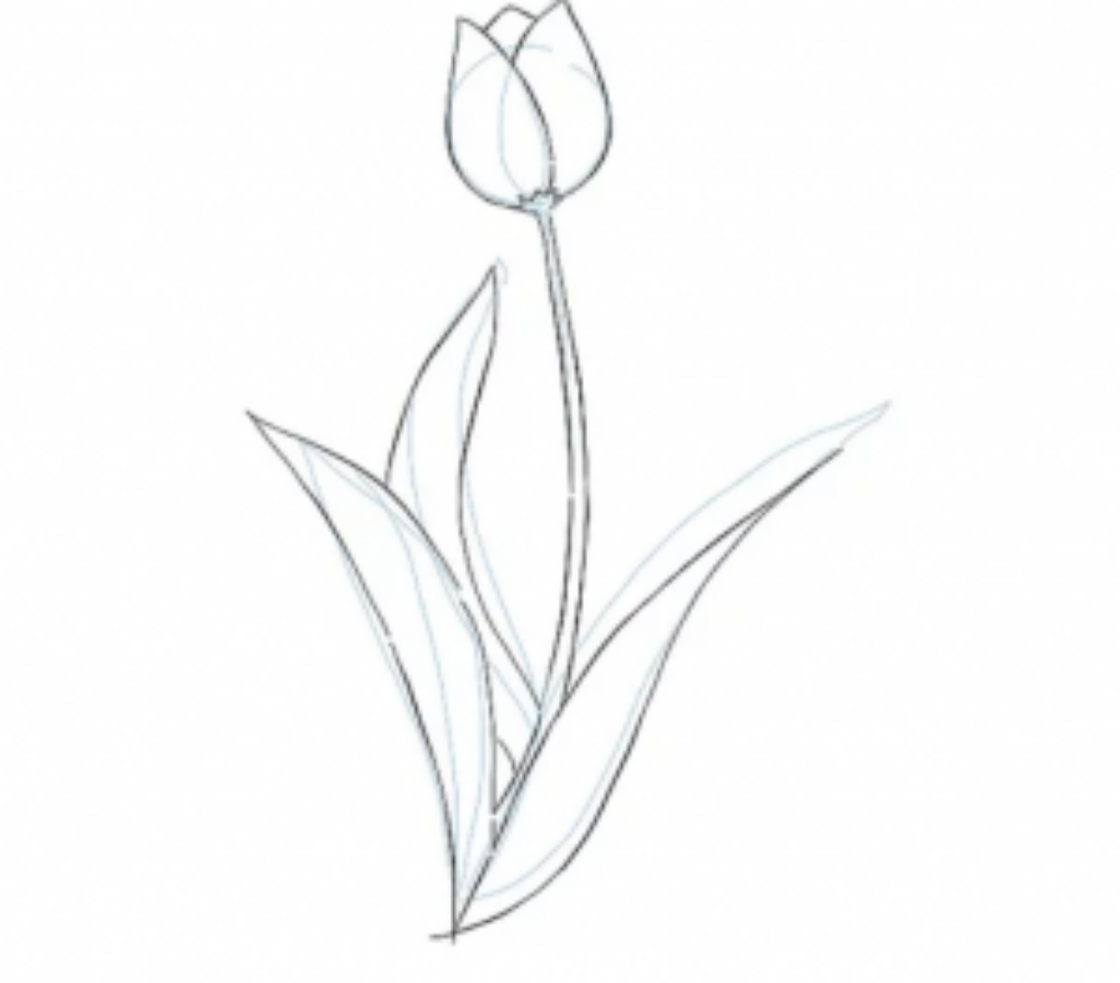 Top hơn 75 vẽ hoa tulip đơn giản siêu đỉnh - thtantai2.edu.vn