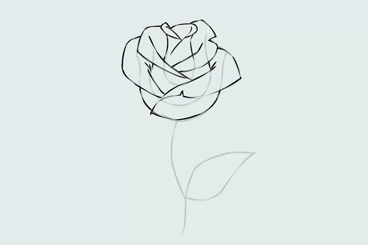 Chia sẻ 56+ về hình vẽ hoa hồng đơn giản hay nhất - cdgdbentre.edu.vn