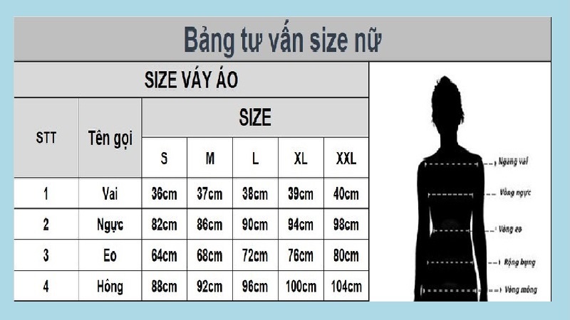 Bảng size áo nữ thương hiệu IVY moda