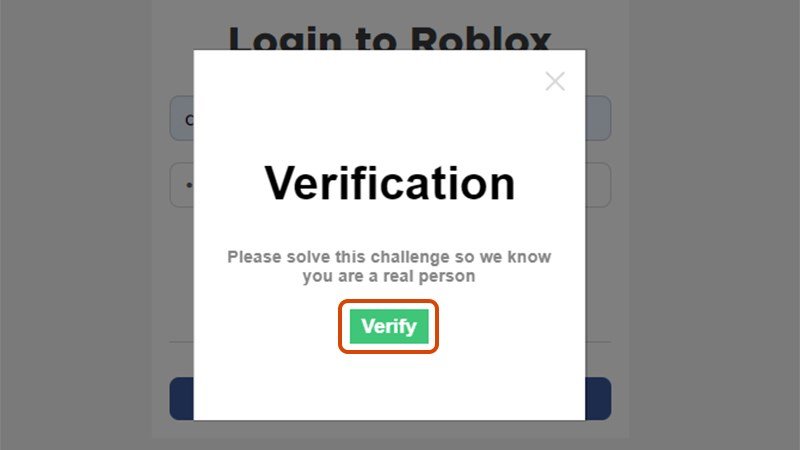 Click chọn Verify.